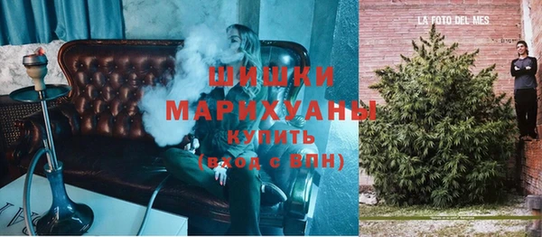 хмурый Каменка