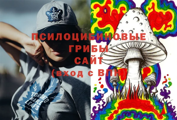 соль ск Абдулино