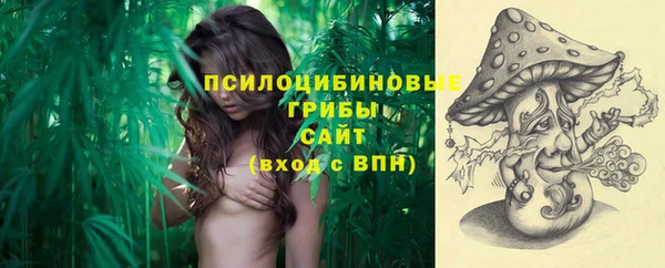 спиды Абаза