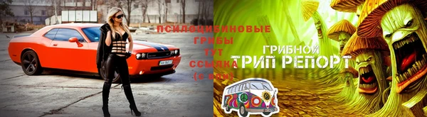 спиды Абаза