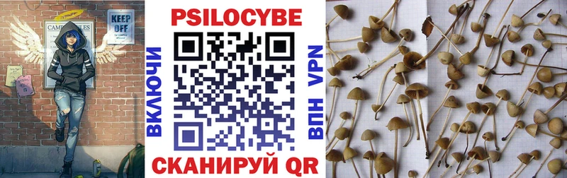 Галлюциногенные грибы Magic Shrooms Холмск