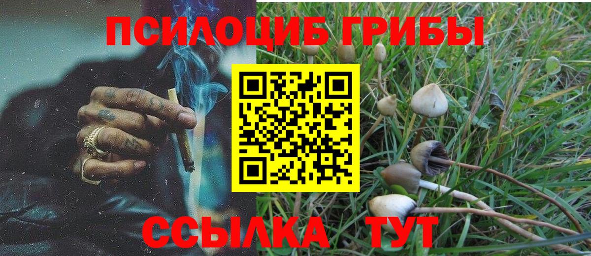 Холмск  Псилоцибиновые грибы Magic Shrooms  Вход с VPN  Псилоцибиновые грибы MAGIC MUSHROOMS 